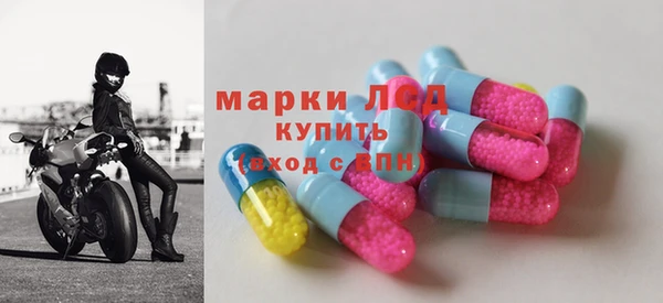 молекула духа Арсеньев