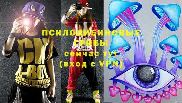 молекула духа Арсеньев
