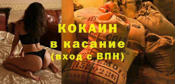 молекула духа Арсеньев