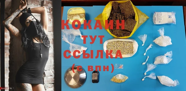 молекула духа Арсеньев